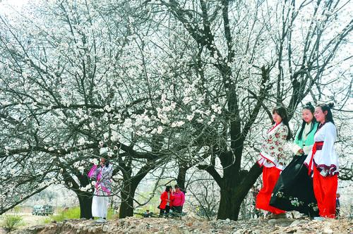 太阳tyc151cc中国 新能源场景